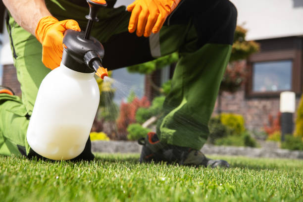 Pest Prevention Services in Batesville, MS