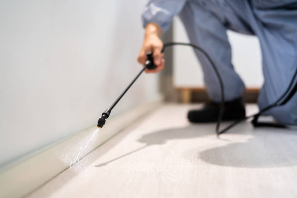 Flea Control Services in Batesville, MS